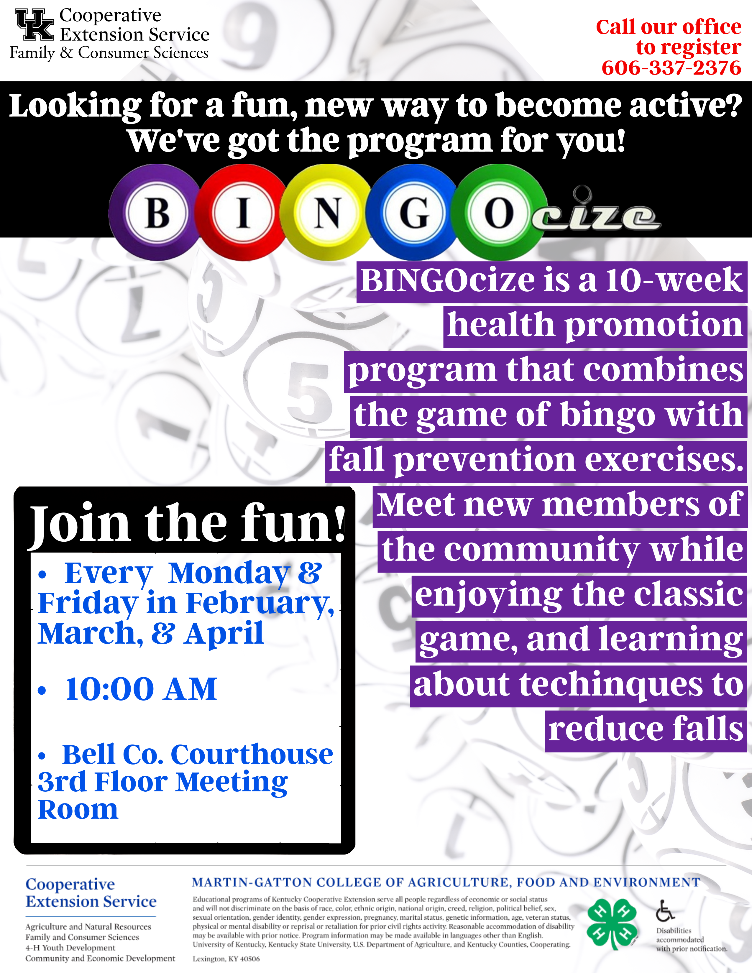 Bingocize Flyer picture